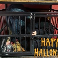 ばっどえんど🎃