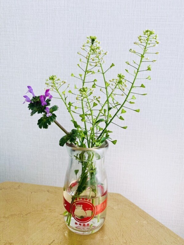 🌸おはようございます🌸