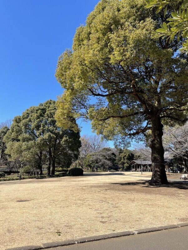 出勤
