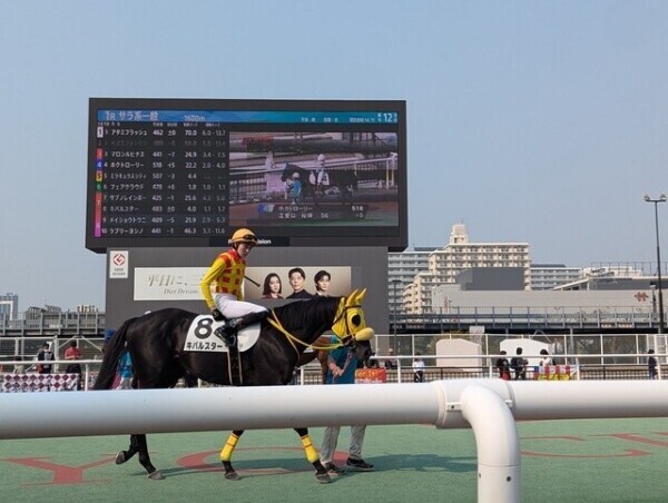 初競馬🐴