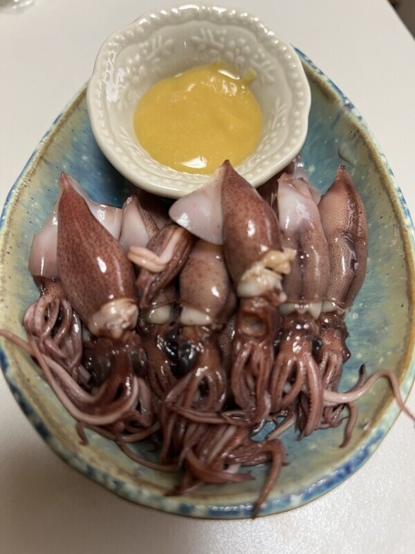 ホタルイカ🦑