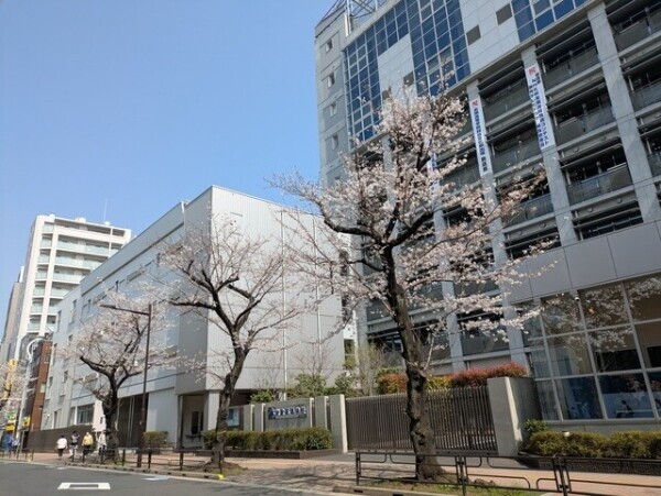 全部