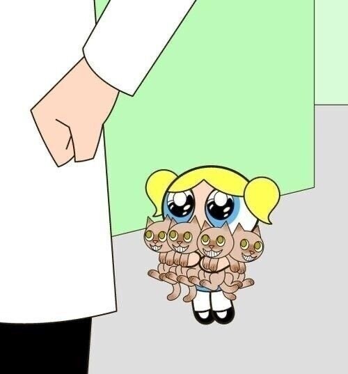 Sさんありがとうございますᩚ