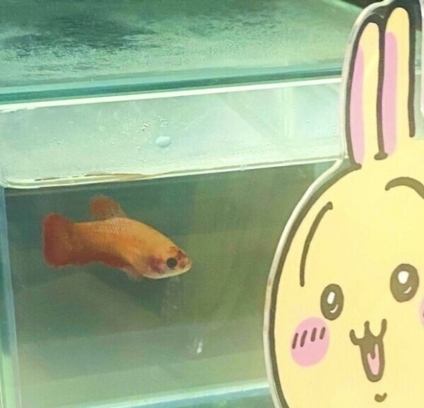 💛本指Sさんへ💛