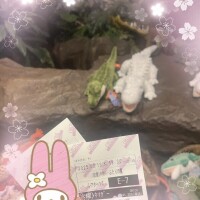 あやめ