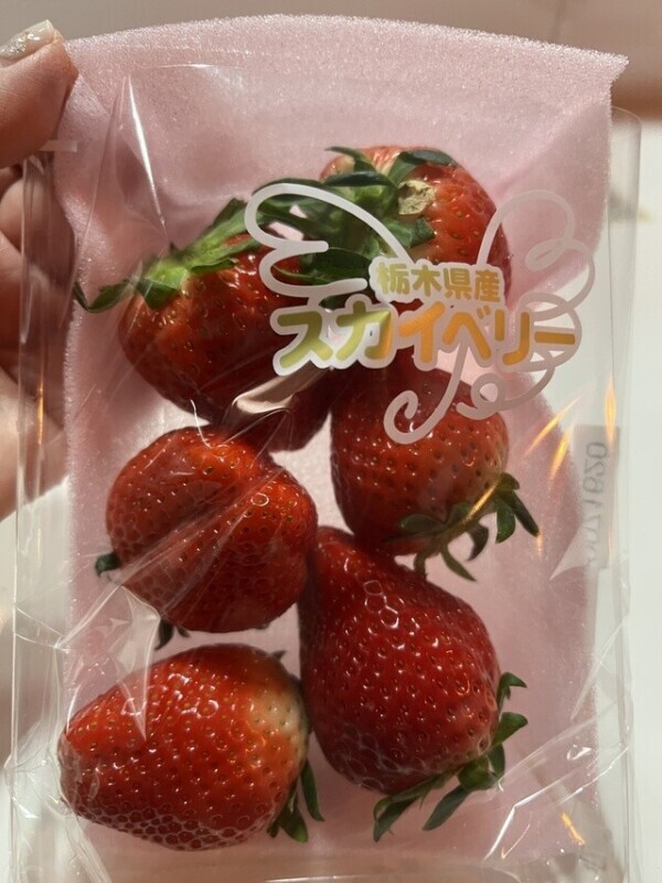 🌸チャーリー🍓ご馳走様でした〜🌸