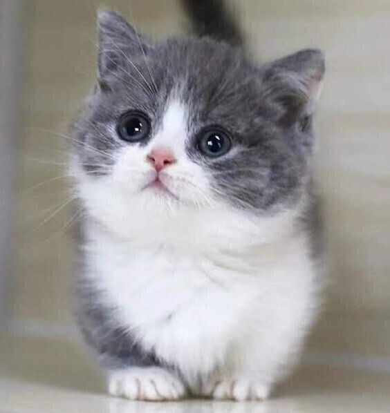 出勤しました～😊
