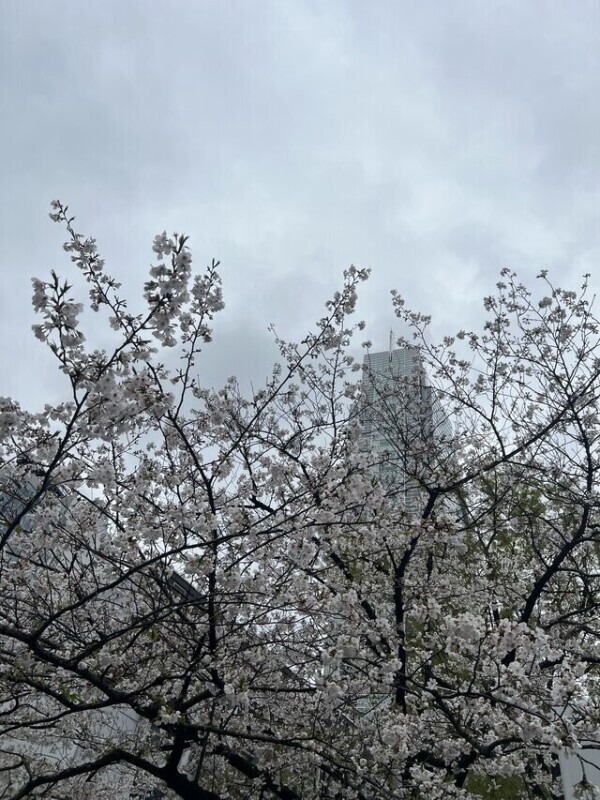 都内にて