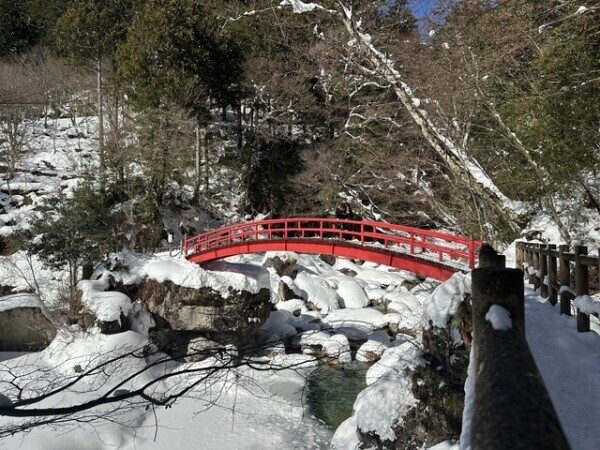おはようございます‼︎