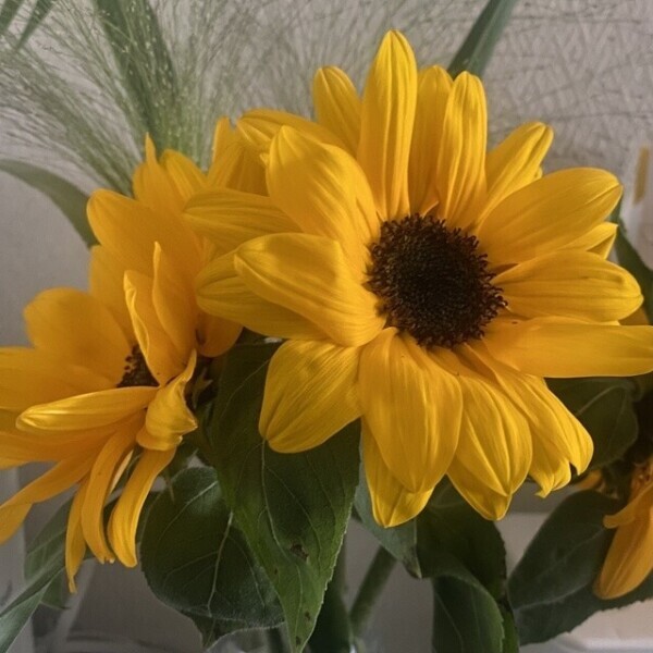 出勤しました♡