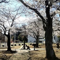 出勤しました😊