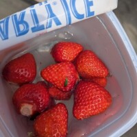 狩りの楽しみ方🍓