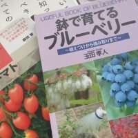 🧡本指Yさんへ🧡