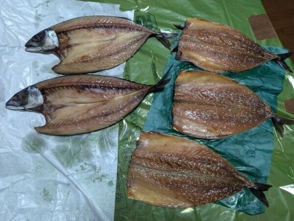 魚太郎🐟