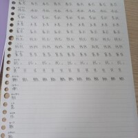 がんばります(ง •̀_•́)ง