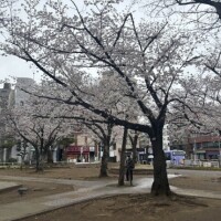 出勤しました