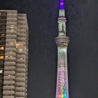 お空の木🌈