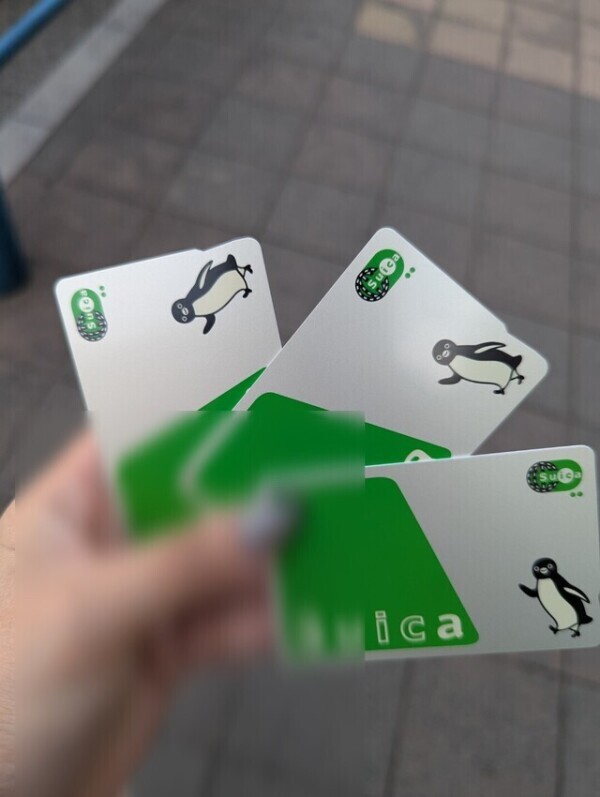 Suica🍉