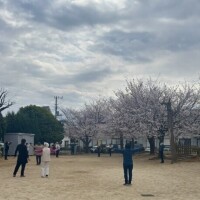 出勤しました