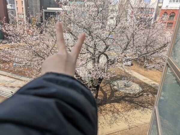 おはようございます☀︎.°