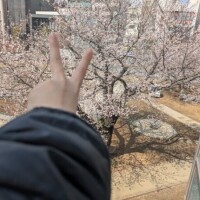 おはようございます☀︎.°
