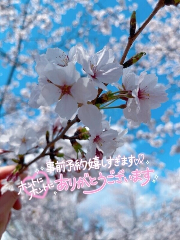 ご予約ありがとうございます