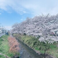 リフレッシュ🩷