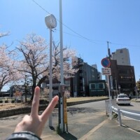 おはようございます☀︎.°