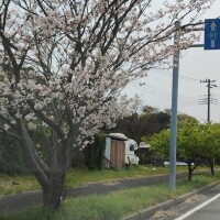 お礼♥
