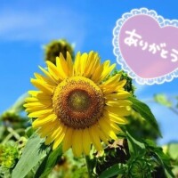 🈵ありがとうございます❤️