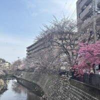 出勤しました