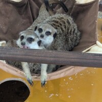 お礼♥遅くなりました🙇‍♀️4/13