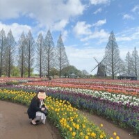 🌷🌷🌷チューリップ🌷🌷🌷