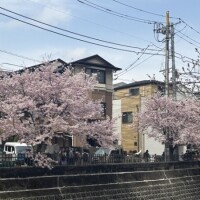 出勤しました
