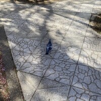 出勤しました♡