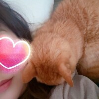 おやすみなさーぃ🌙* :ﾟ