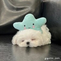 ご予約ありがとうございます☺︎