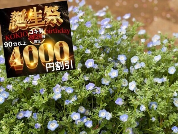 あと1枠です🌻