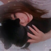 願望ですがー