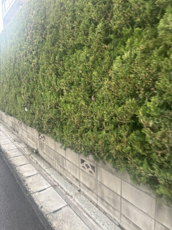 土砂降り(；；)