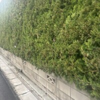 土砂降り(；；)