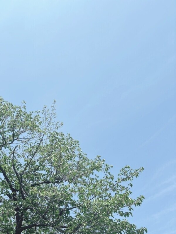 出勤しました💓