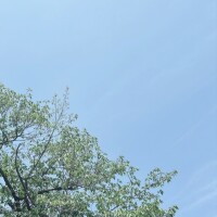 かな