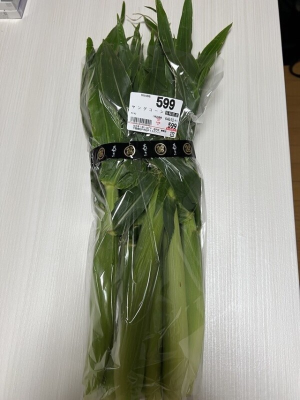 はつもの🌽
