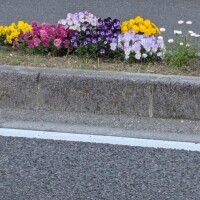 ゆな