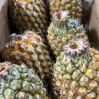 ひろ