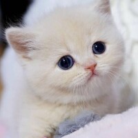 出勤しました～😊