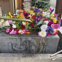 出勤しました