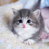 出勤しました～😊