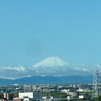 出勤しましたぁ✨